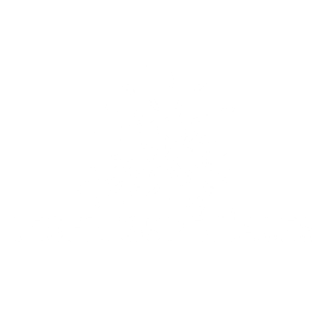 Les Fées Spéciales